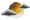 scattered
